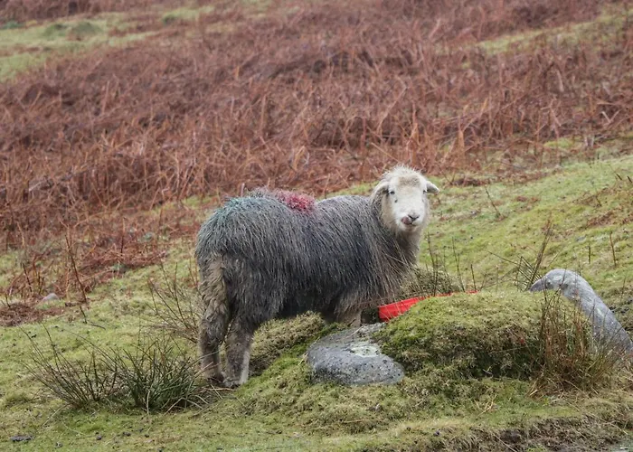 Wansfell Holiday home Windermere